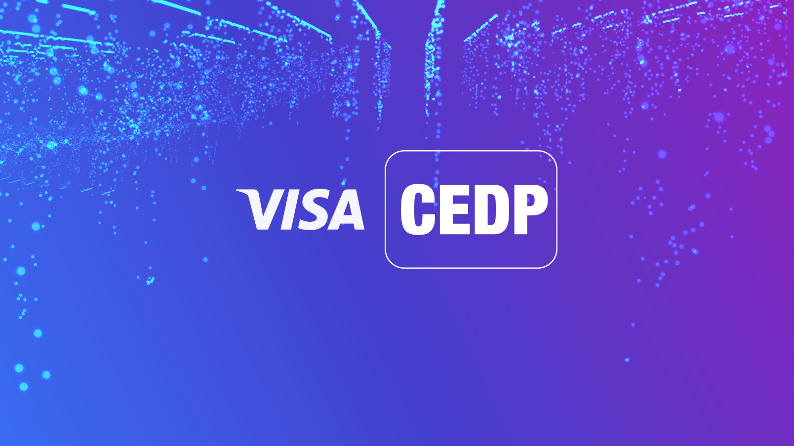 Understanding the new Visa Commercial Enhanced Data Program (CEDP)