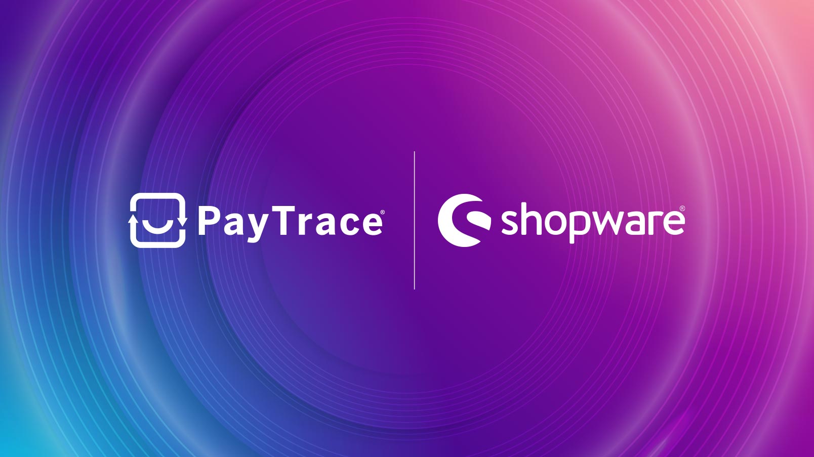 Embedded Payments in Shopware: accelerate cash flow and reduce payment processing costs
